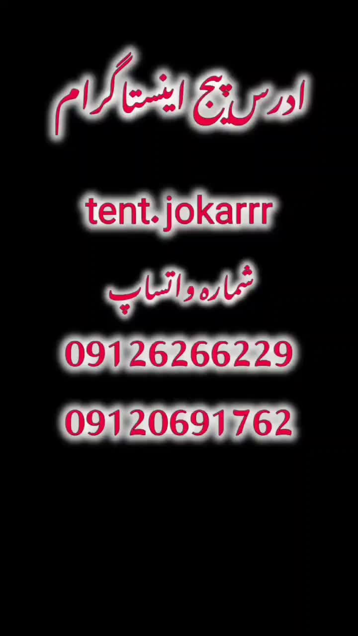 چادر پشه بند مسافرتی زیپ درشت کف ضخیم با کیف|کوهنوردی و کمپینگ|تهران, تهرانسر شرقی|دیوار