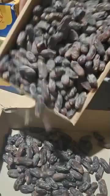 خرمای امسالی|خوردنی و آشامیدنی|تهران, امیریه|دیوار