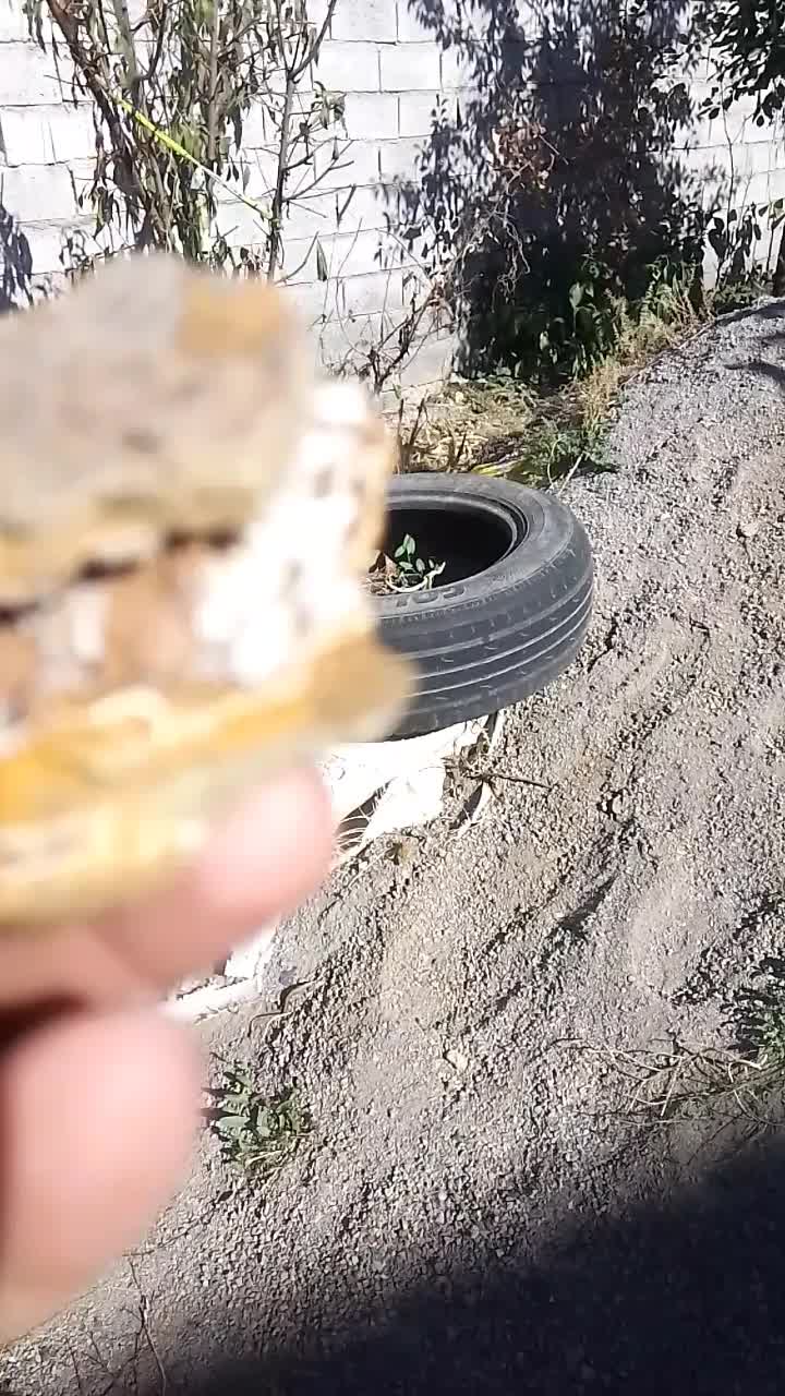 سنگ کوارتز دار.بسیار زیبا|جواهرات|مشگین شهر, |دیوار