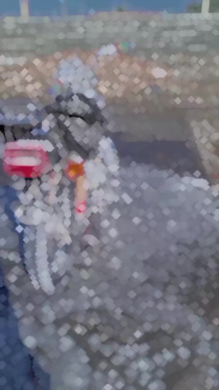 موتور ۱۲۵ اصل ژاپن|موتورسیکلت|ایرانشهر, |دیوار