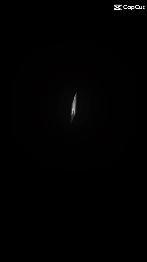 اجاره لاین در سالن زیبایی|خدمات آرایشگری و زیبایی|مشهد, دانشجو|دیوار