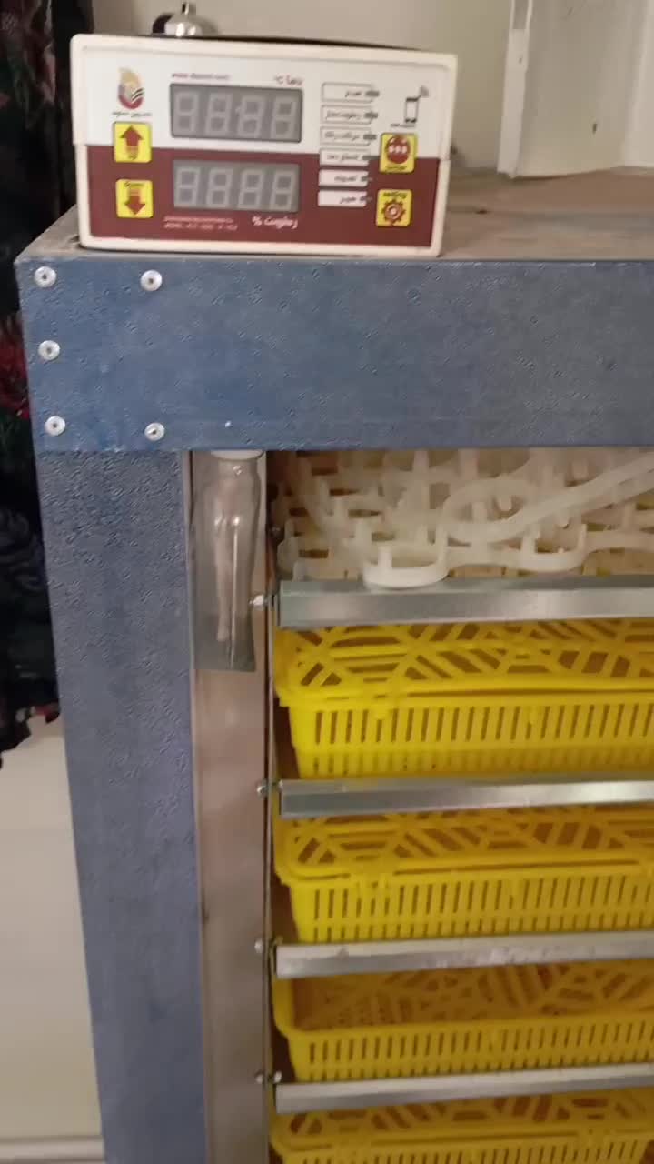 دستگاه جوجه کشی|لوازم جانبی حیوانات|بیرجند, |دیوار