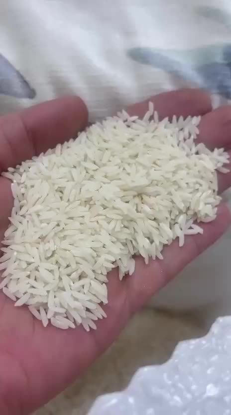 برنج طارم هاشمی ممتاز|خوردنی و آشامیدنی|تهران, دکتر هوشیار|دیوار