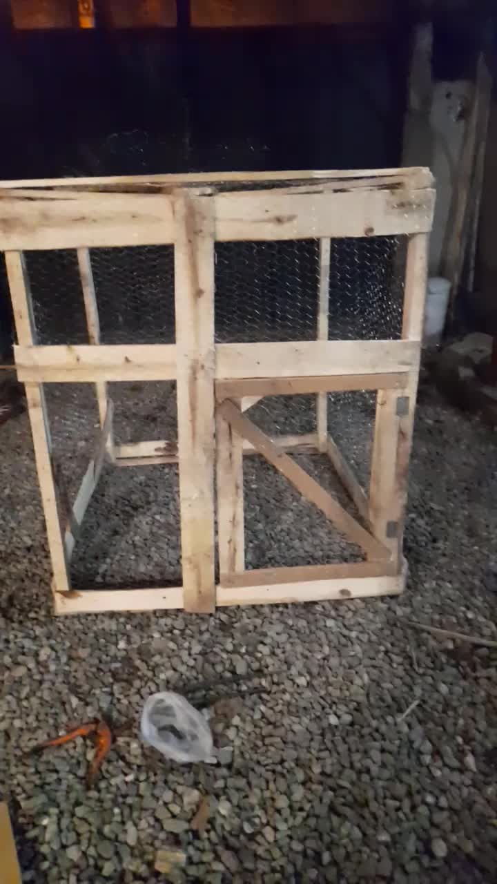 قفس چوبی|لوازم جانبی حیوانات|رامیان, |دیوار