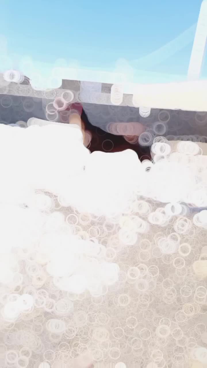 اسب|اسب و تجهیزات اسب‌سواری|اقلید, |دیوار