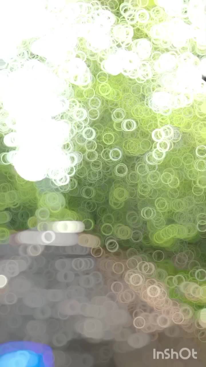 ویلایی با تراس بزرگ وچشم اندازی|اجارهٔ کوتاهمدت ویلا و باغ|علیآباد کتول, |دیوار