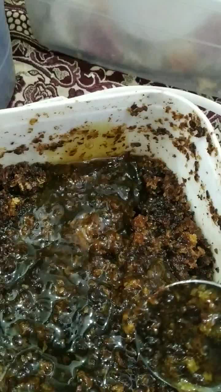 عسل بکر از کوههایی  کوردستان|خوردنی و آشامیدنی|تهران, آبشار|دیوار
