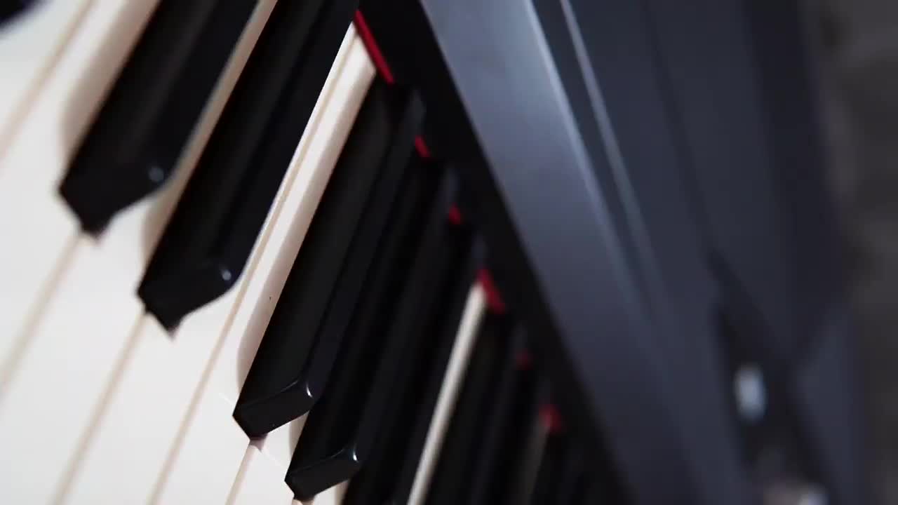 Korg SP280 - پیانو دیجیتال کمیاب|پیانو، کیبورد، آکاردئون|مشهد, بهشت|دیوار