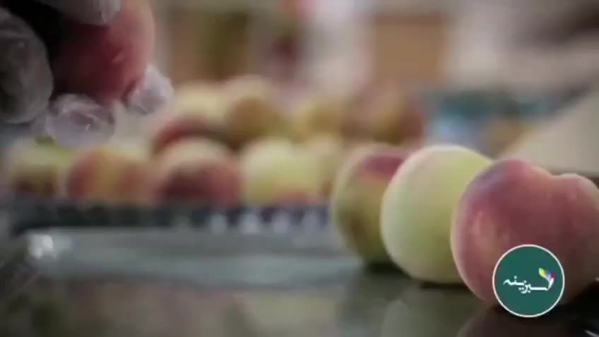 پک ترحیم،پک میوه همایش،پک پذیرایی ختم|خدمات پذیرایی، مراسم|مشهد, آبکوه|دیوار