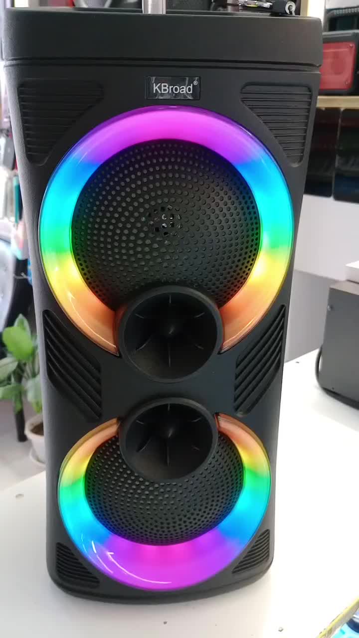 اسپیکر دو ساب ۶.۵اینچ RGB|پخش‌کننده همراه|صدرا-فارس, فاز ۲|دیوار