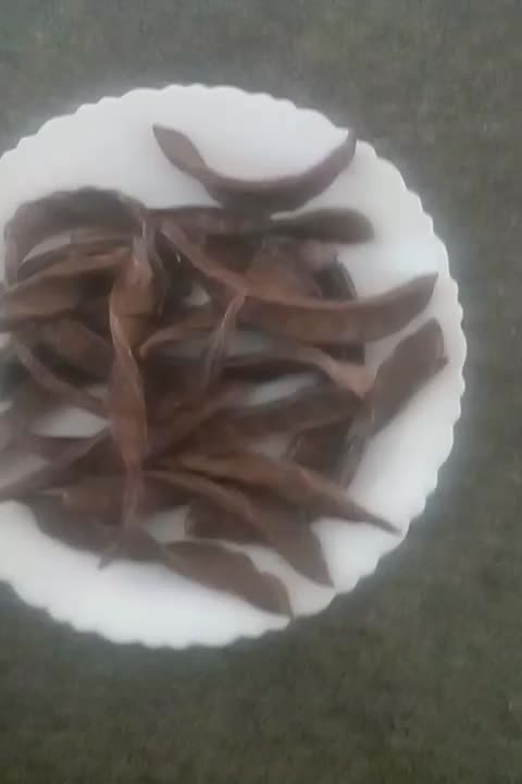 خرنوب برای درمان ناتوانی جنسی (۷۰۰g)|خوردنی و آشامیدنی|تهران, اتابک|دیوار