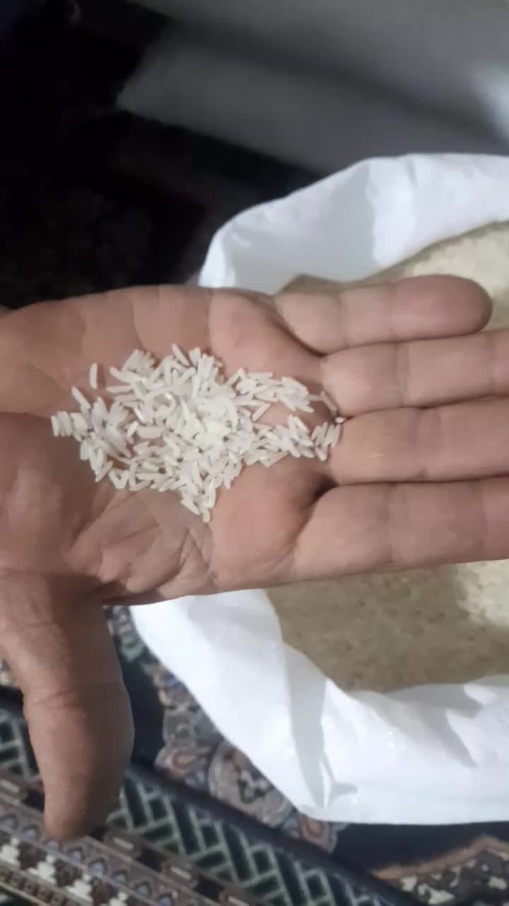 برنج فجر سوزنی درجه یک|خوردنی و آشامیدنی|سنگدوین, |دیوار