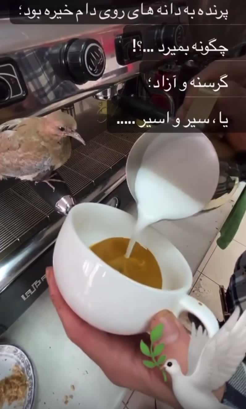 آموزش باریستا و لاته ارت|خدمات آموزشی|تهران, درکه|دیوار