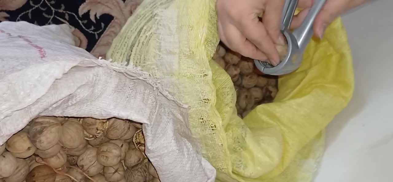 گردو درجه یک|خوردنی و آشامیدنی|تهران, خزانه|دیوار