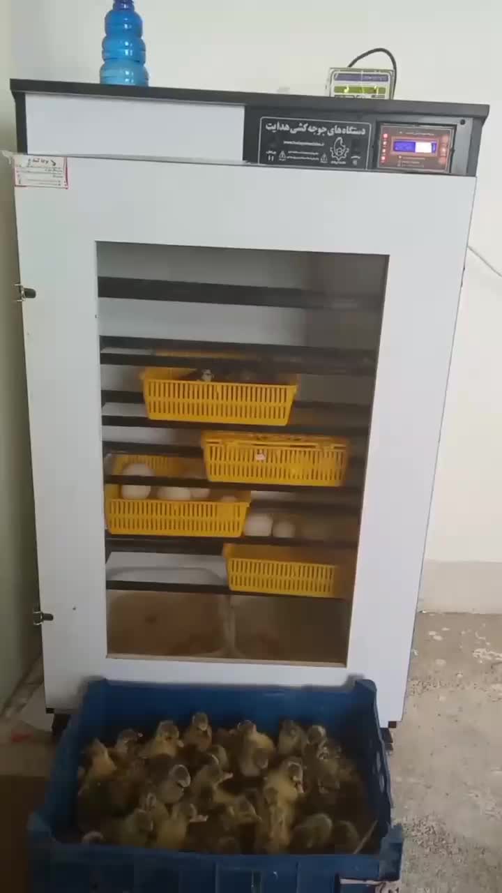 دستگاه جوجه کشی تمام اتوماتیک|ماشین‌آلات صنعتی|تفتان, |دیوار