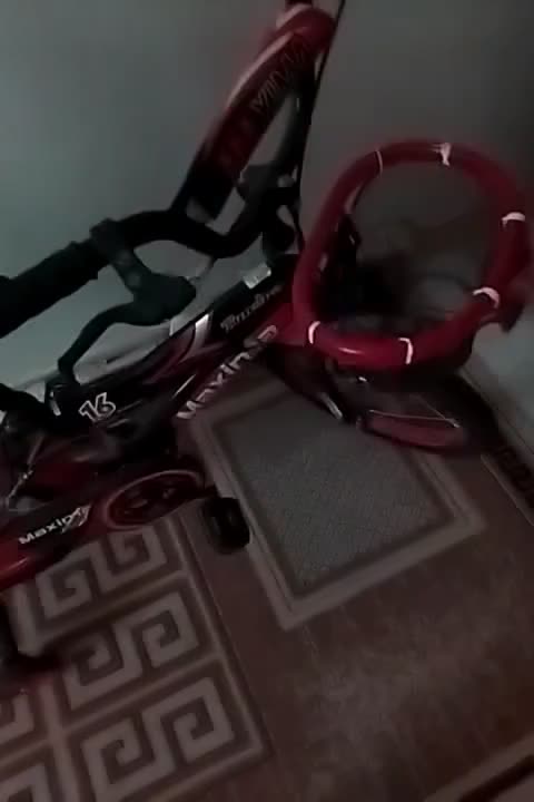 دوچرخه|دوچرخه، اسکیت، اسکوتر|دوگنبدان, |دیوار