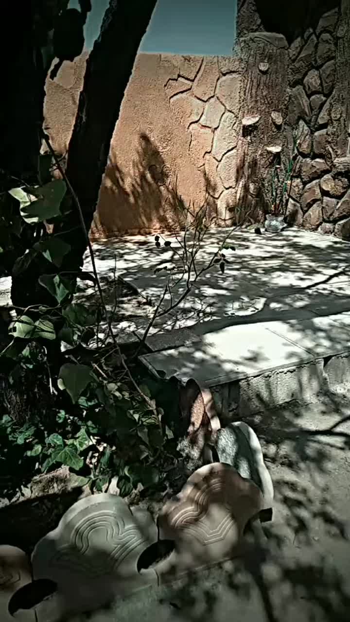 اجاره سوئیت دونفره باغبهادران|اجارهٔ کوتاهمدت آپارتمان و سوئیت|باغ بهادران, |دیوار