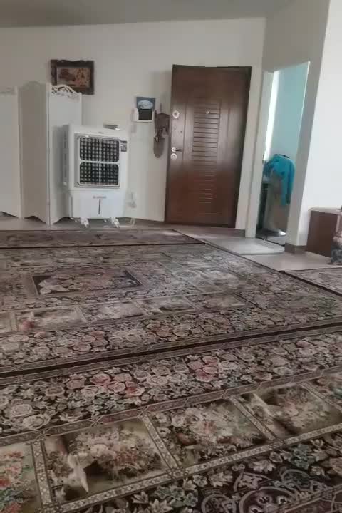 اجاره کارگاه|اجارهٔ مغازه و غرفه|تهران, صاحب الزمان|دیوار