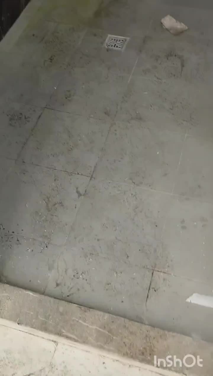 شرکت خدمات نظافتی نمونه|خدمات نظافت|مشهد, طبرسی شمالی|دیوار