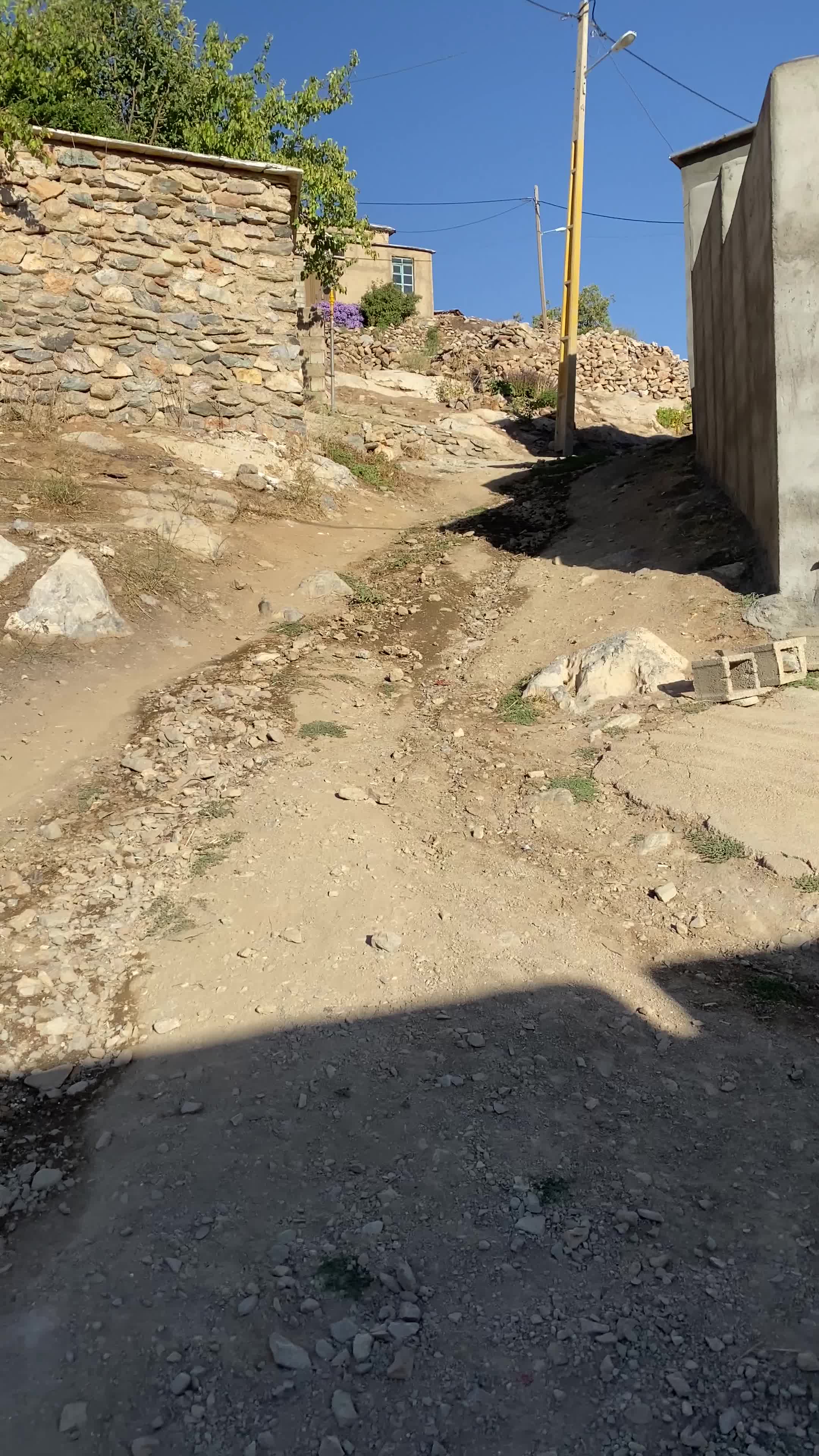 فروش زمین دو نبش ۹۰ متری روستای شوی (قلات)|فروش زمین و ملک کلنگی|بانه, |دیوار