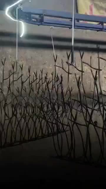 حفاظ شاخ گوزنی و نیزه ای|خدمات پیشه و مهارت|اردبیل, |دیوار