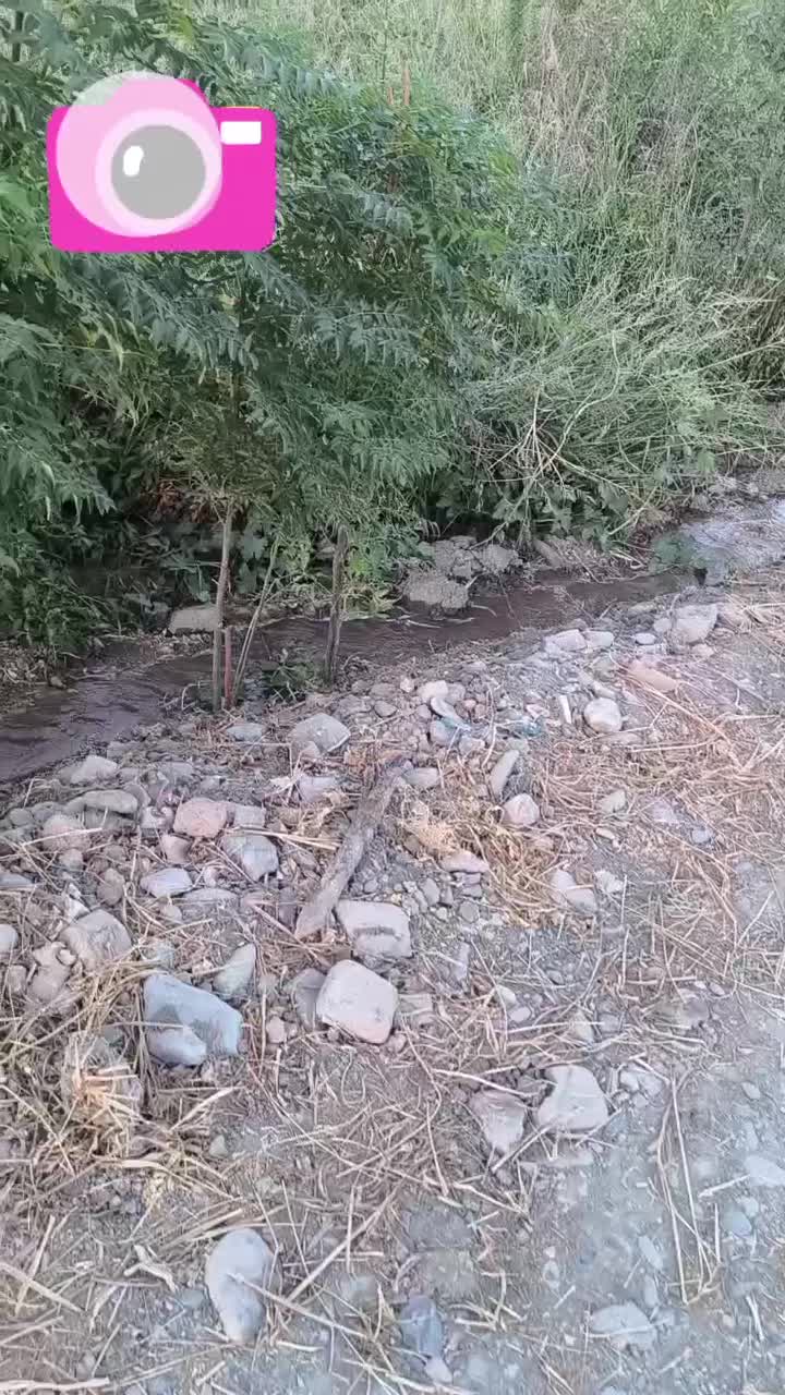 باغچه250متری|فروش خانه و ویلا|اسلام‌شهر, شهرک مصطفی خمینی|دیوار