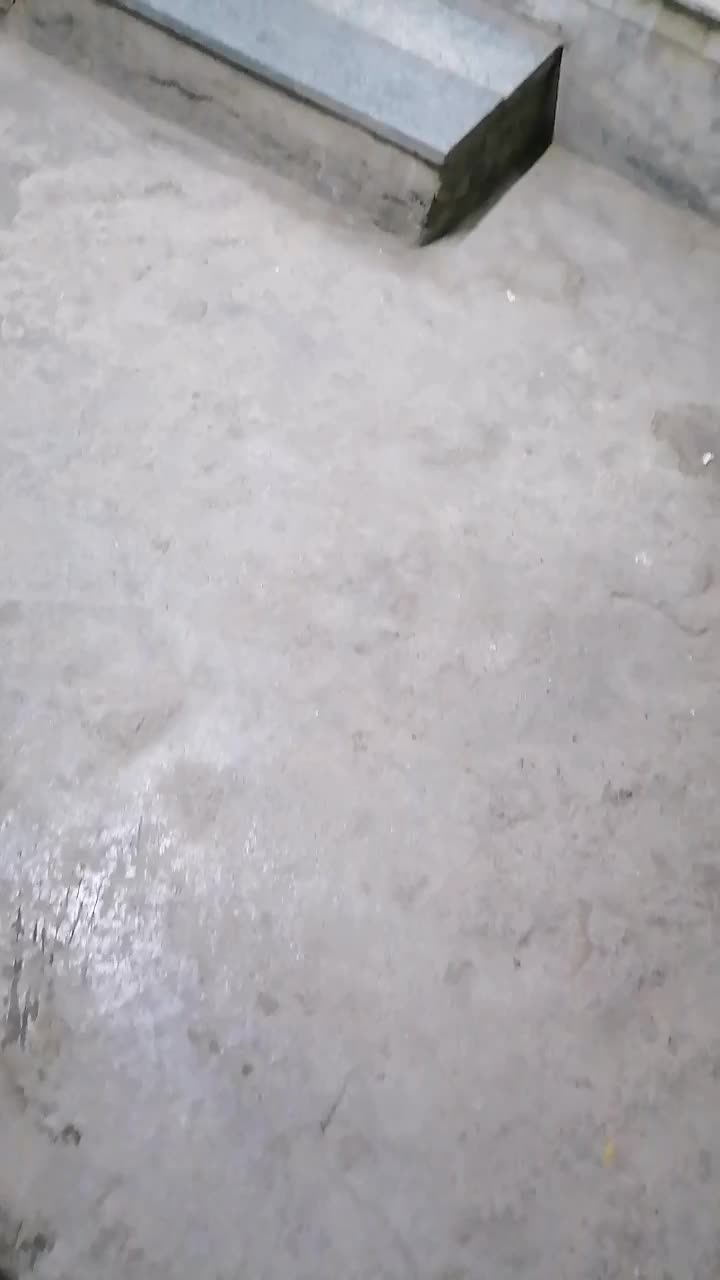 کافی نت میلاد|خدمات رایانهای و موبایل|فاضل آباد, |دیوار