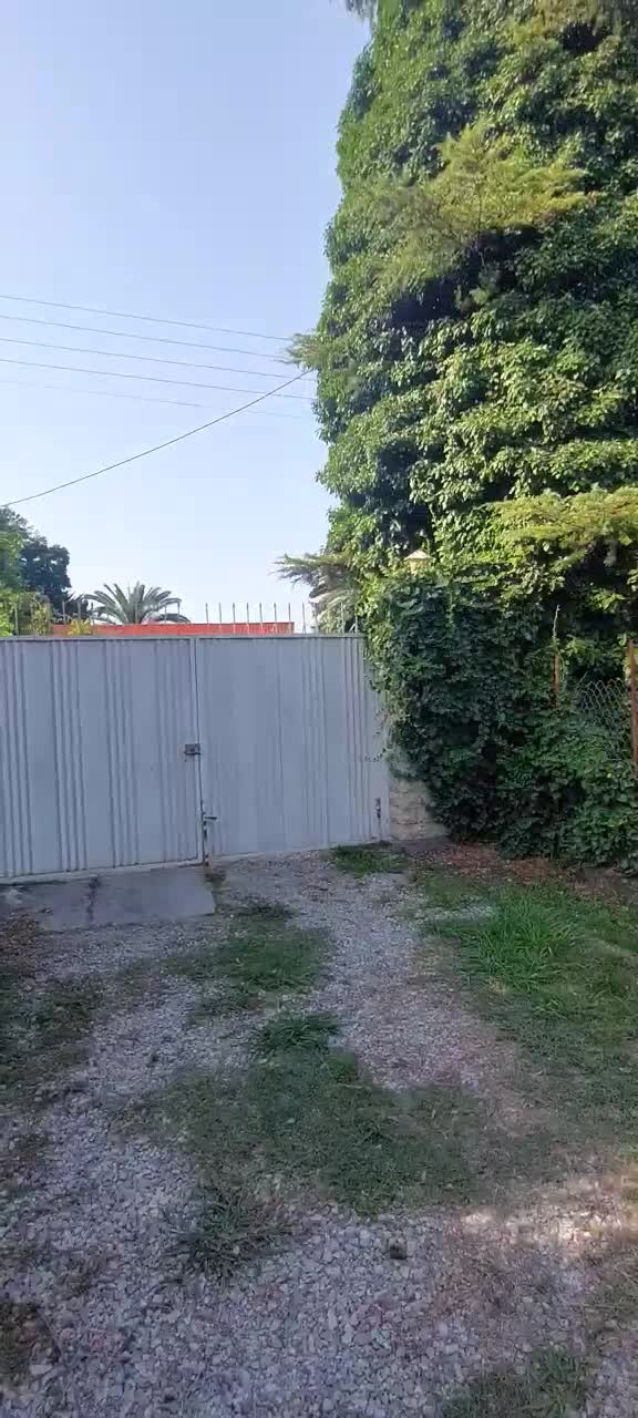 نوشهر/قطعه زمین۲۵۰متری/شهرکی/سندتک برگ/مدارک تکمیل|فروش زمین و ملک کلنگی|نوشهر, |دیوار