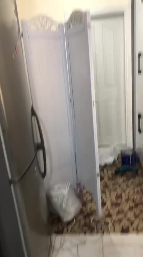 پاراوان ۴ لنگه طوسی روشن ، فروش به دلیل مهاجرت|مبلمان خانگی و میز عسلی|پردیس, فاز ۱۱|دیوار