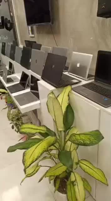 نمایندگی اصلی/Hp/Asus/Lenovo قسطی 12ماهه بدون سود|رایانه همراه|گرگان, |دیوار