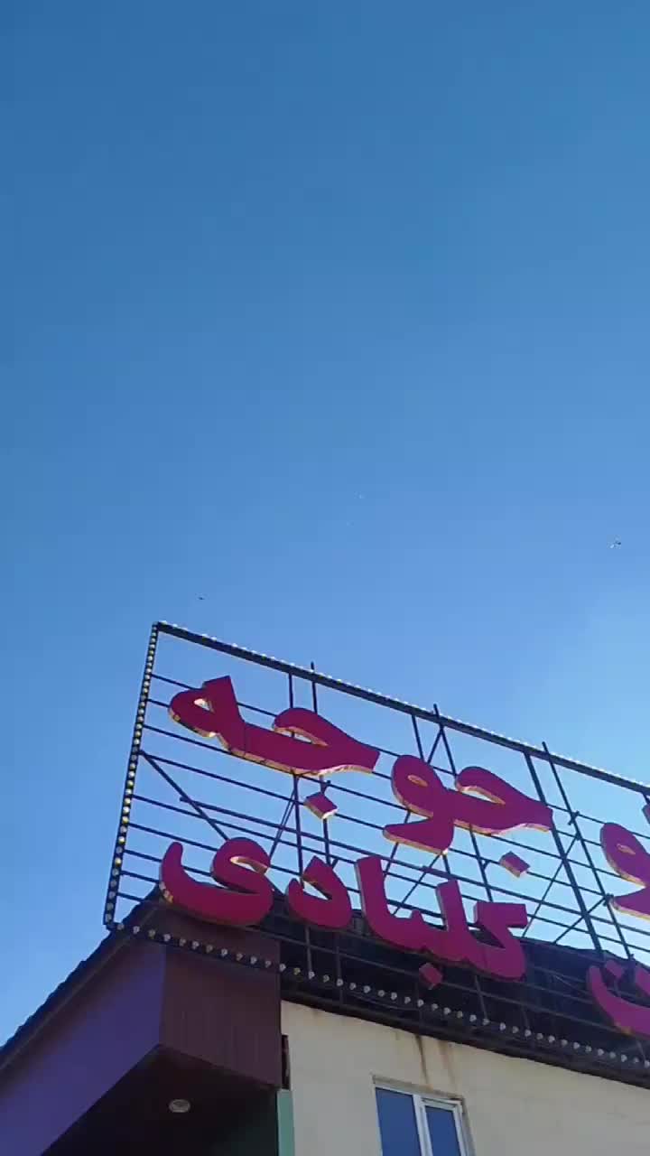 کبوتر تکپر|پرنده|دماوند, دماوند|دیوار