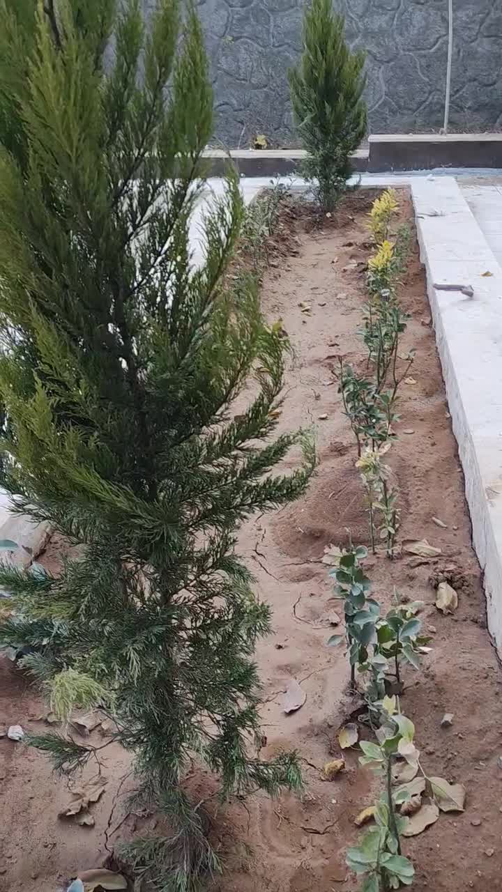 خونه باغ ۲۵۰متری|فروش خانه و ویلا|برزک, |دیوار