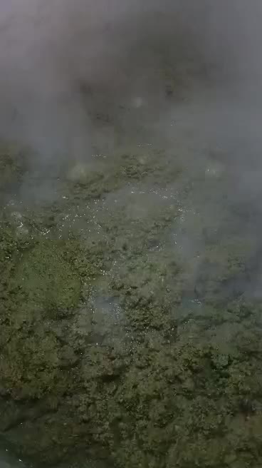 سبزی خورشتی تازه خوشمزه|خوردنی و آشامیدنی|اندیمشک, |دیوار