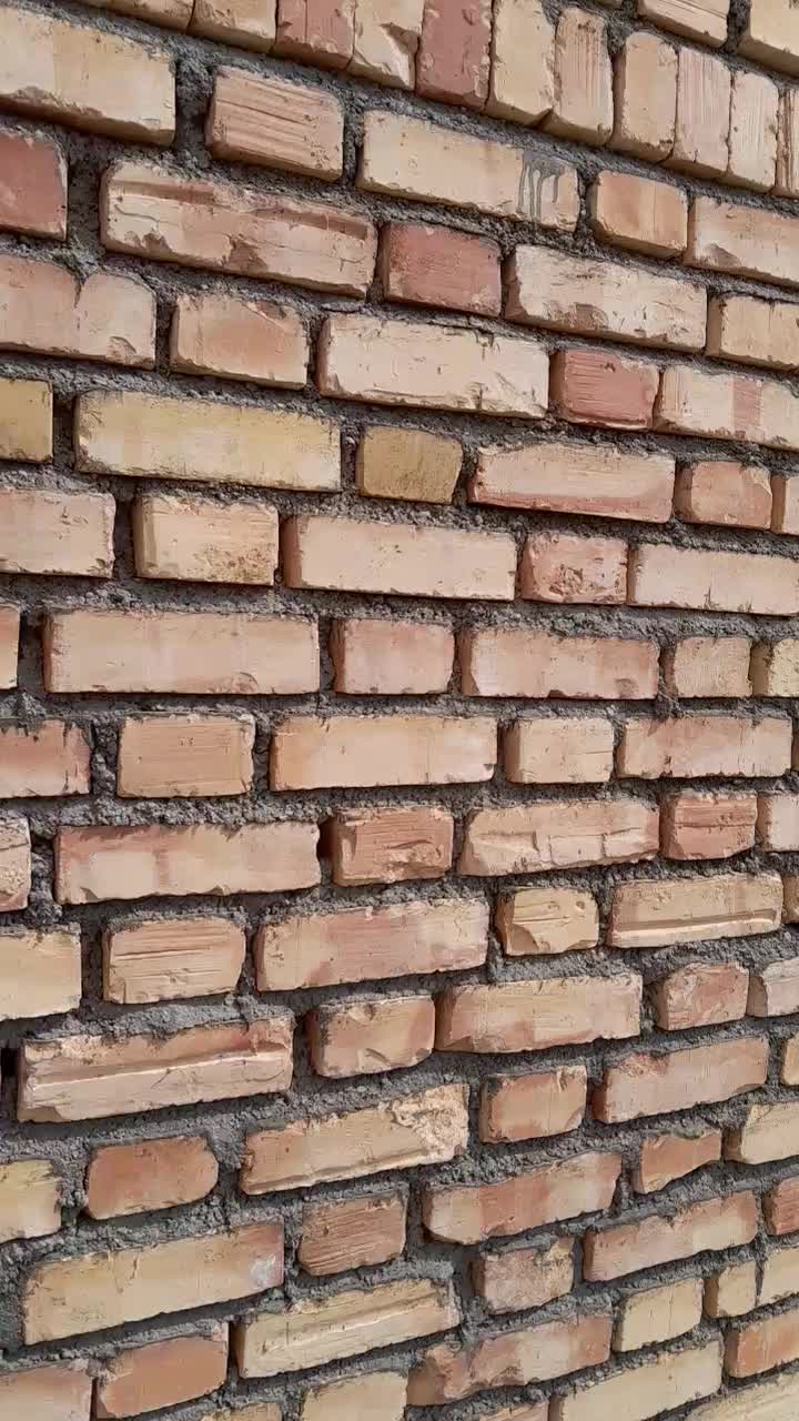 بنای|خدمات پیشه و مهارت|بیجار, |دیوار