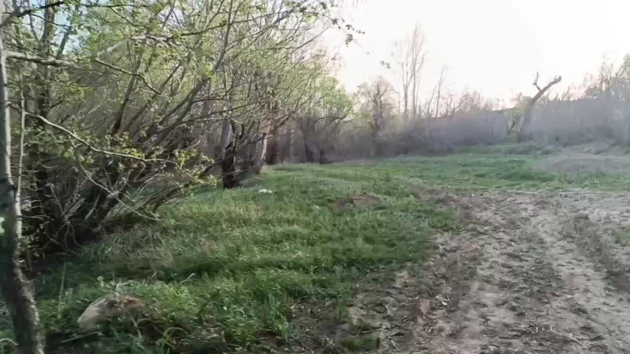 باغ زمین|فروش زمین و ملک کلنگی|خرقان, |دیوار