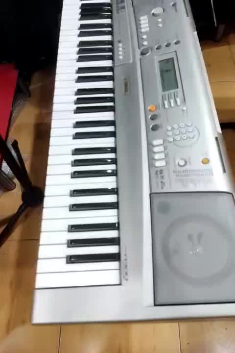 ارگ A300|پیانو، کیبورد، آکاردئون|ارومیه, |دیوار