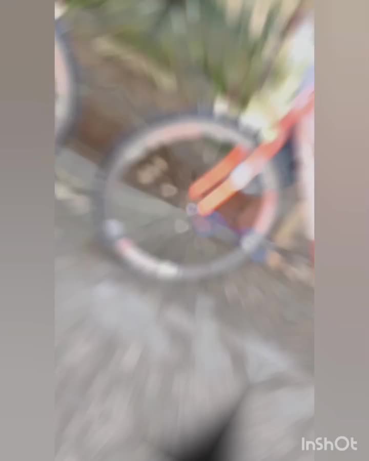 دوچرخه ۲۶ ویوا|دوچرخه، اسکیت، اسکوتر|گنبد کاووس, |دیوار