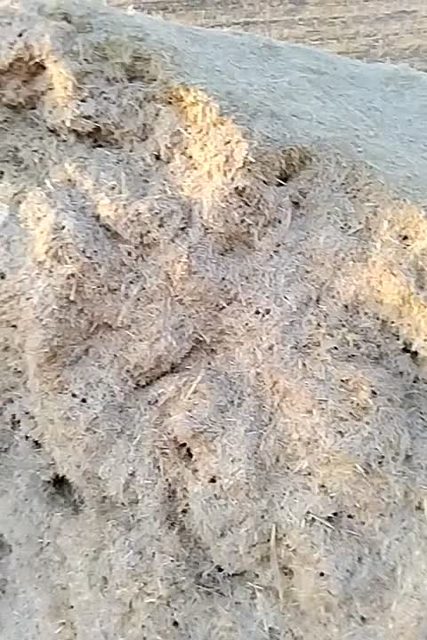کاه|حراج|گرمخان, |دیوار