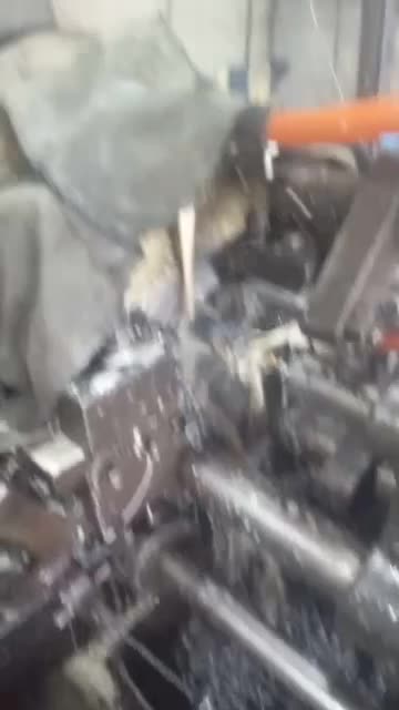 سریتراشیدقت|خدمات پیشه و مهارت|شاهدشهر, |دیوار