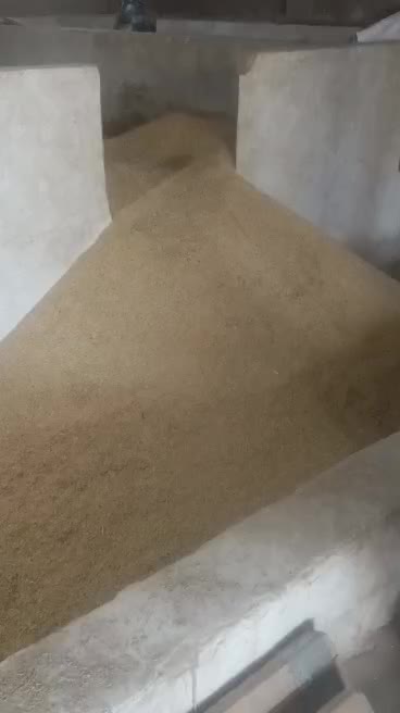 برنج طارم محلی دیره|خوردنی و آشامیدنی|گیلان غرب, |دیوار