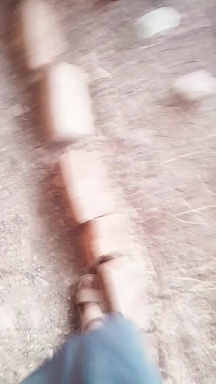 خروس|حیوانات مزرعه|دامن, |دیوار