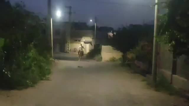 اسب مادیان کاسپین|اسب و تجهیزات اسبسواری|لواسان, |دیوار