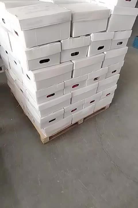 نیروی خانم جهت سورت و بسته بندی فلفل|استخدام صنعتی، فنی، مهندسی|تیران, |دیوار