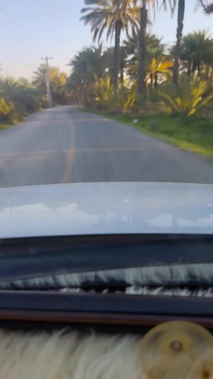 پژو 405مدل 85|خودرو سواری و وانت|رودخانه, |دیوار