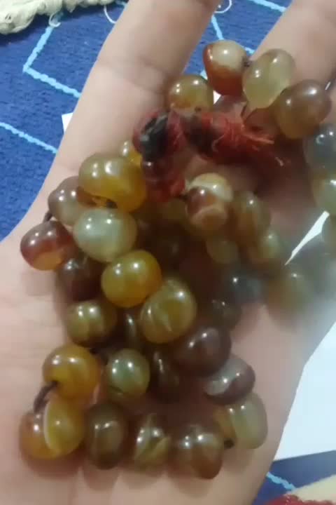 تسبیح|کلکسیون اشیاء عتیقه|کبودرآهنگ, |دیوار