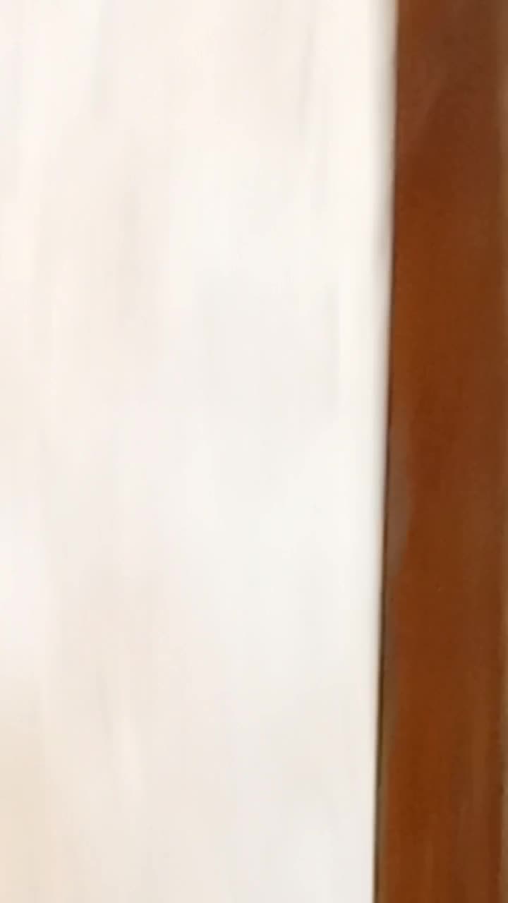 کوتوله مولد|پرنده|مشهد, طبرسی شمالی|دیوار