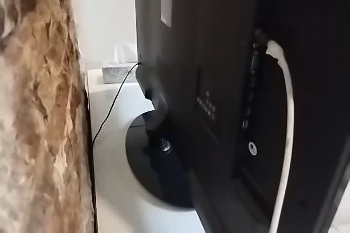 تلویزیون مارشال|تلویزیون و پروژکتور|تهران, شهرک آسمان|دیوار