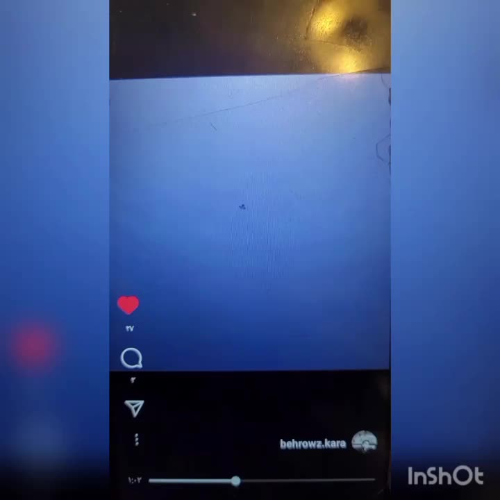 ۵۰تاکفتر شناسنامه دار فوق پرش|پرنده|بهارستان, |دیوار