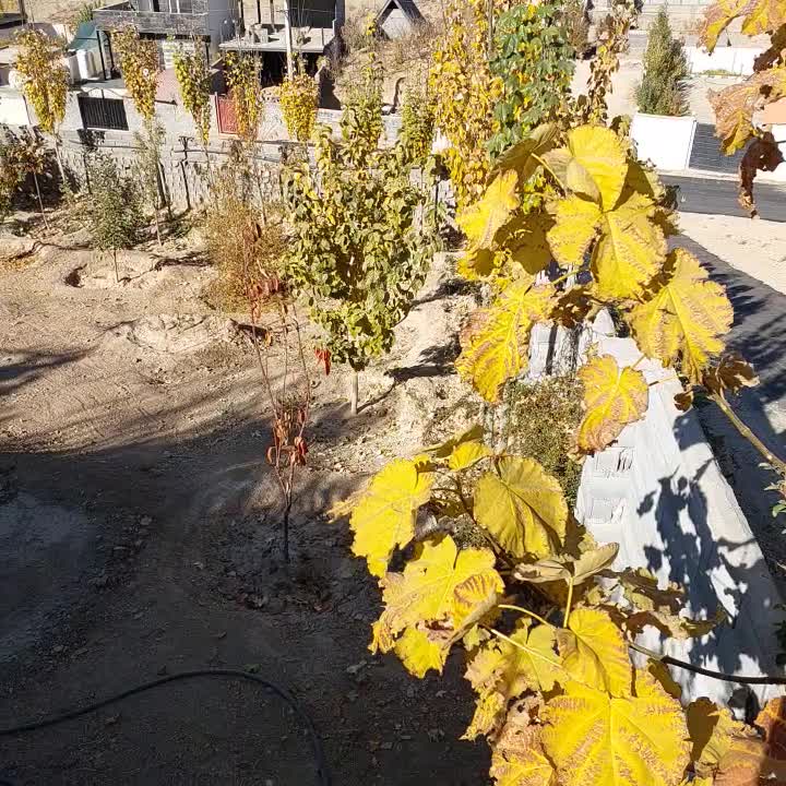 باغ|فروش خانه و ویلا|رودهن, |دیوار