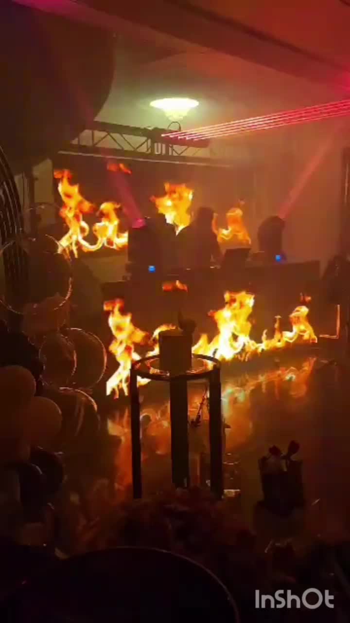 دیجی|خدمات پذیرایی، مراسم|مشهد, دانشجو|دیوار